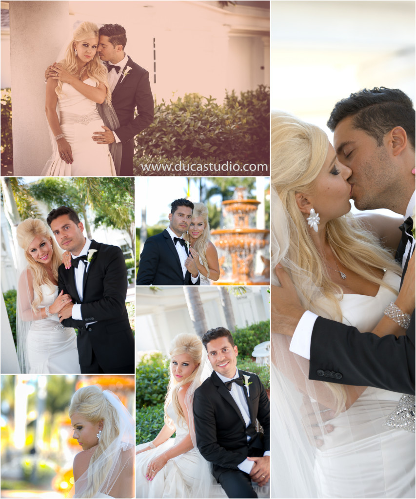 SACHA COLLAGE 3